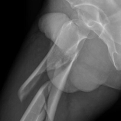 JONATHAN MART&Iacute;NEZ