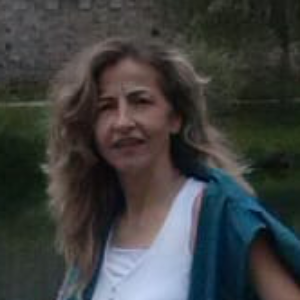 Fidaa Baz